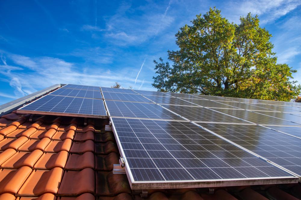 Panneaux photovoltaïques (1)